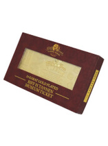 Réplique du billet d'entrée au musée de Biff Tannen de Retour vers le futur 2