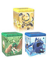 Coffrets Tin Cube Pokémon (février 2022)