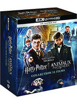 Coffret Wizarding World (Harry Potter  + Les Animaux fantastiques)