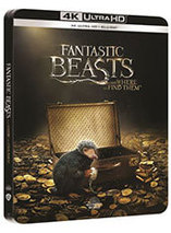 Les Animaux Fantastiques - steelbook 4K