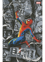 Marvel Comics N°14 - édition collector