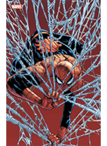 Marvel Comics N°16 - édition collector