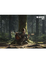 Lenticulaire The Last of Us Part II