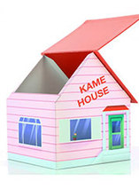 My Zing Box #2 – Dragon Ball Z