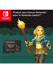 la-carte-micro-sd-1to-zelda-tears-of-the-kingdom-est-en-promo