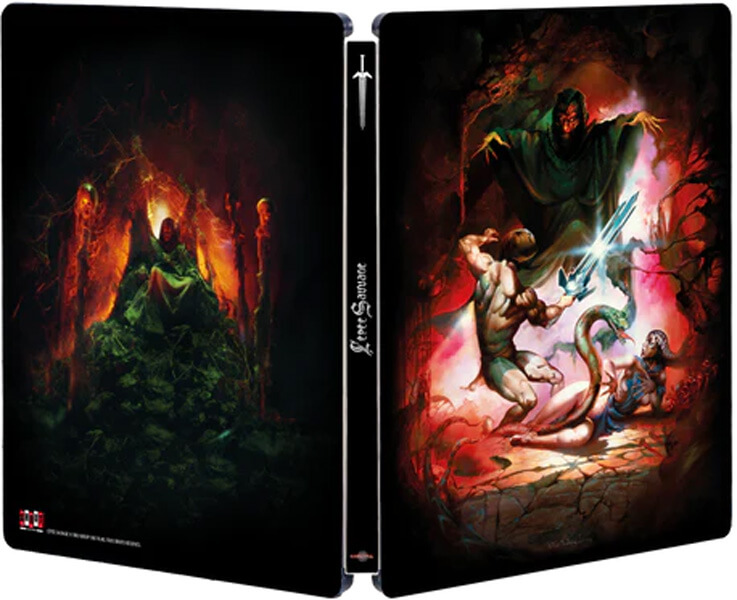 L Épée sauvage Steelbook édition limitée