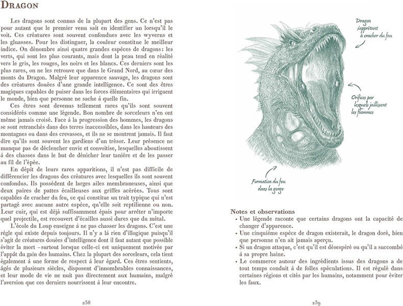 L Univers du Sorceleur Witcher Manuel du Sorceleur page 2